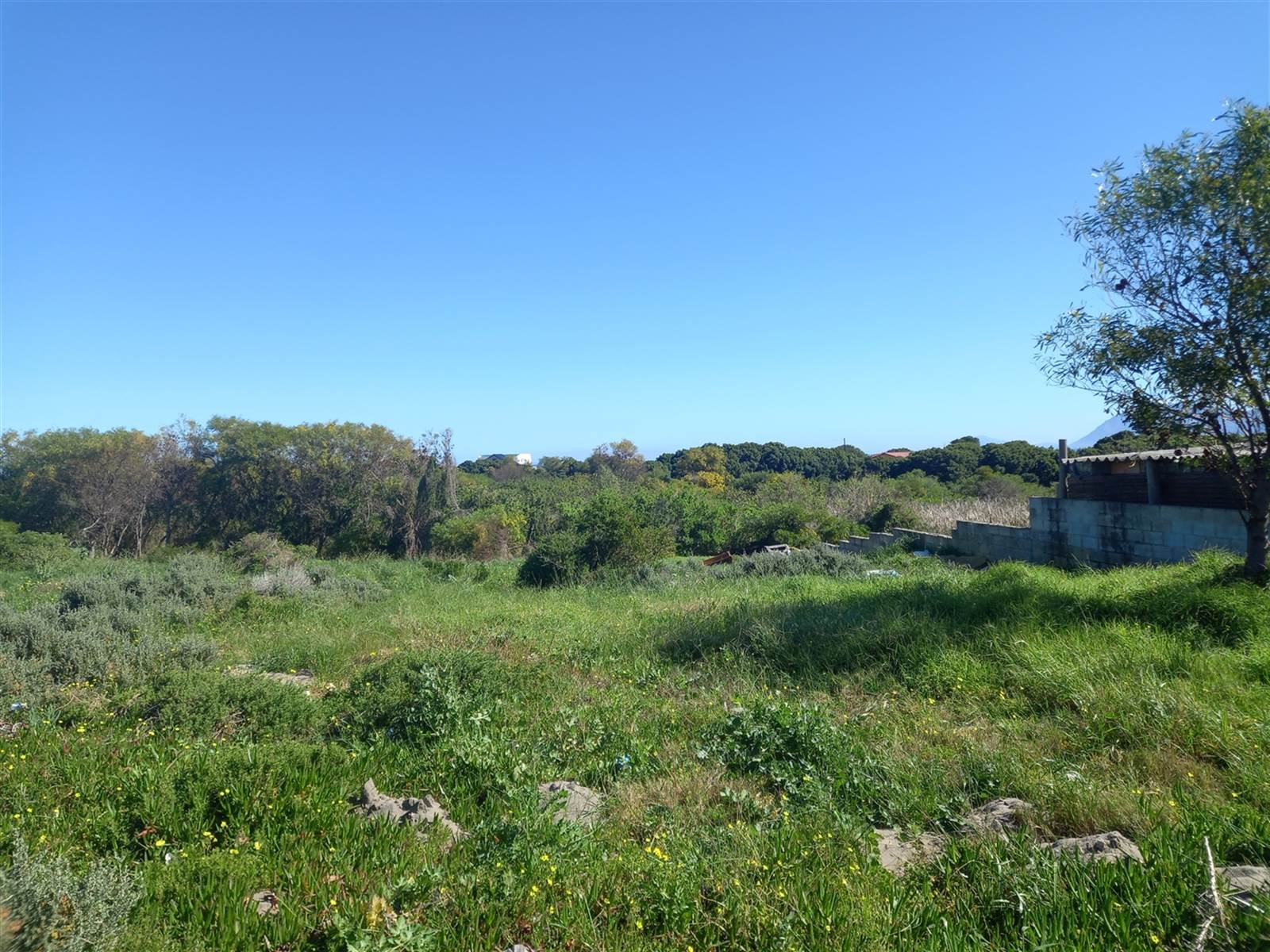 2400 m² Land available in Hawston photo number 4