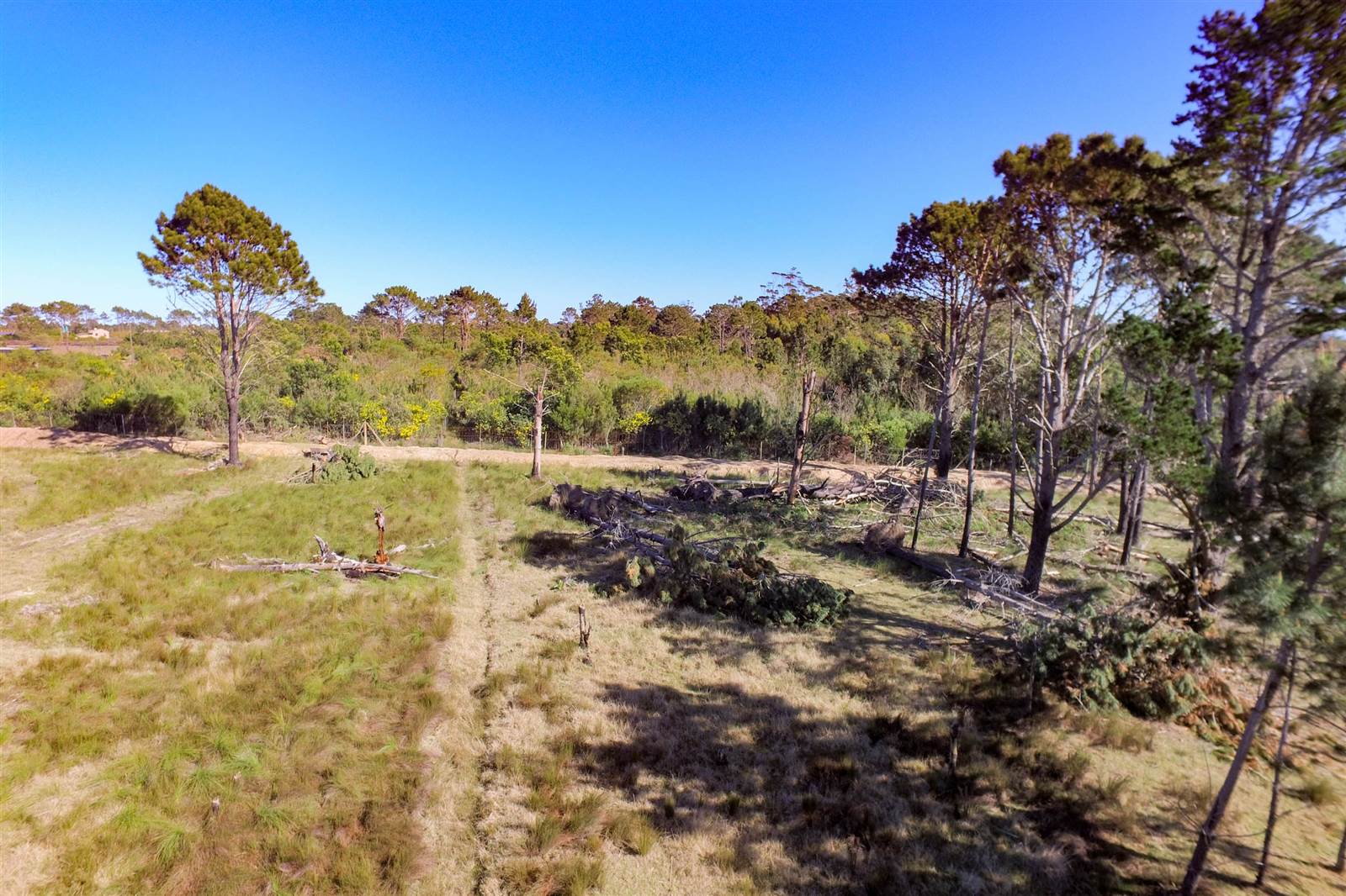 8.9 ha Smallholding in Robberg photo number 30