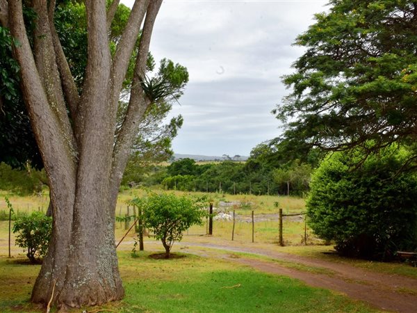 8565 m² Smallholding in Bathurst and Surrounds