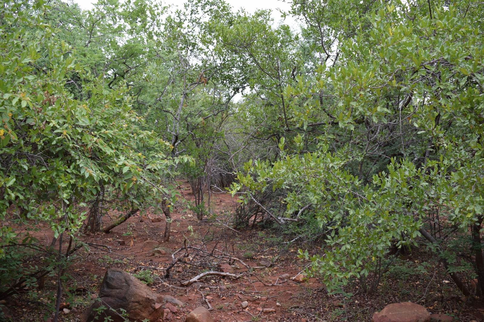 1 ha Land available in Hoedspruit photo number 9