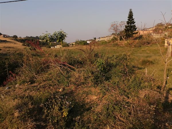 325 m² Land 325 m² Land