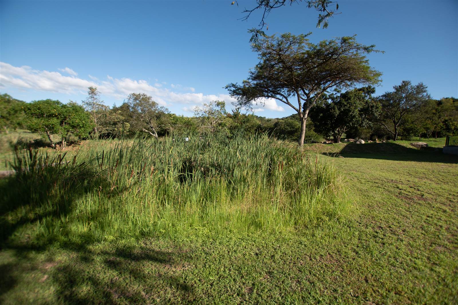 376 m² Land available in The Rest Nature Estate photo number 11