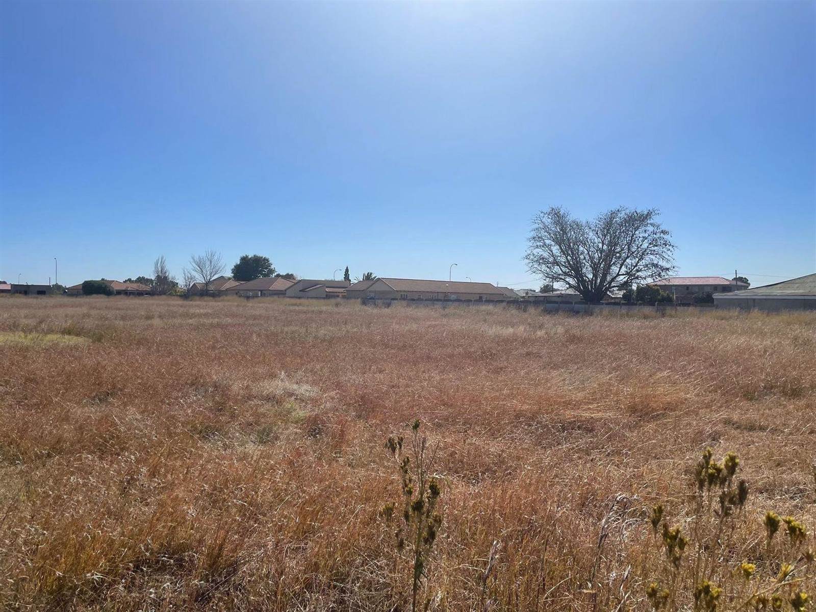 7611 m² Land available in Riversdale photo number 2
