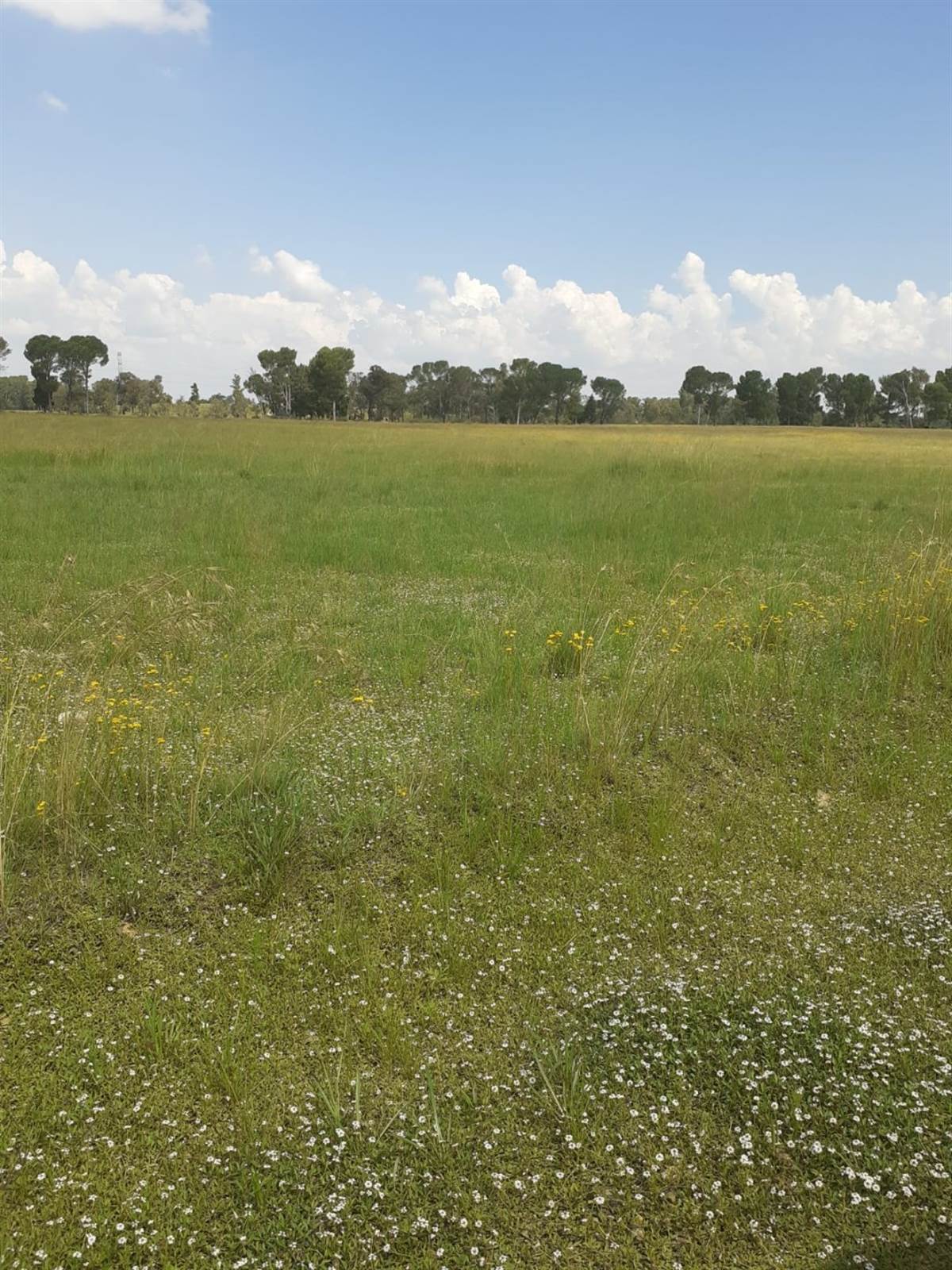 1 ha Land available in Grasslands photo number 3
