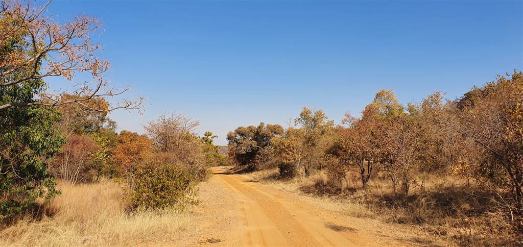 7394 m² Land available in Bela-Bela (Warmbaths) photo number 5