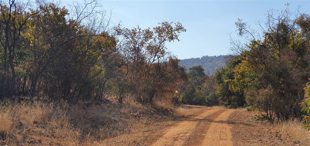 7394 m² Land available in Bela-Bela (Warmbaths) photo number 3