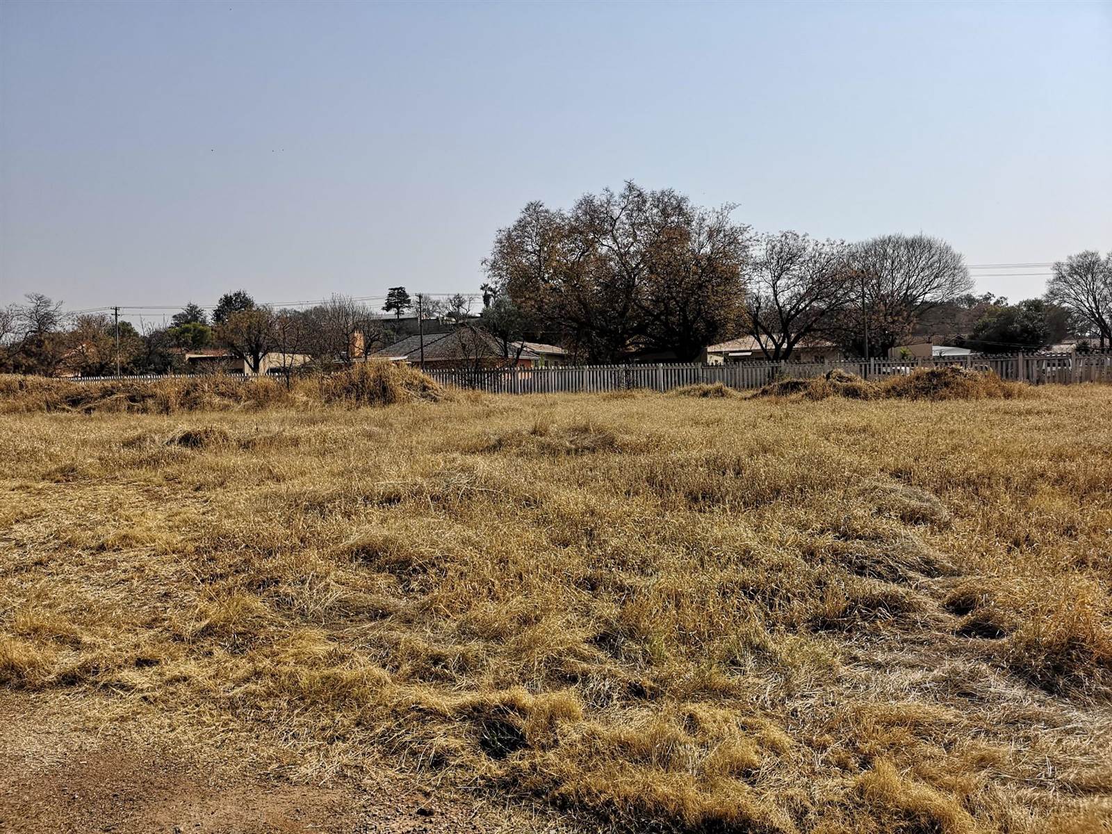 5000 m² Land available in Elandia photo number 4