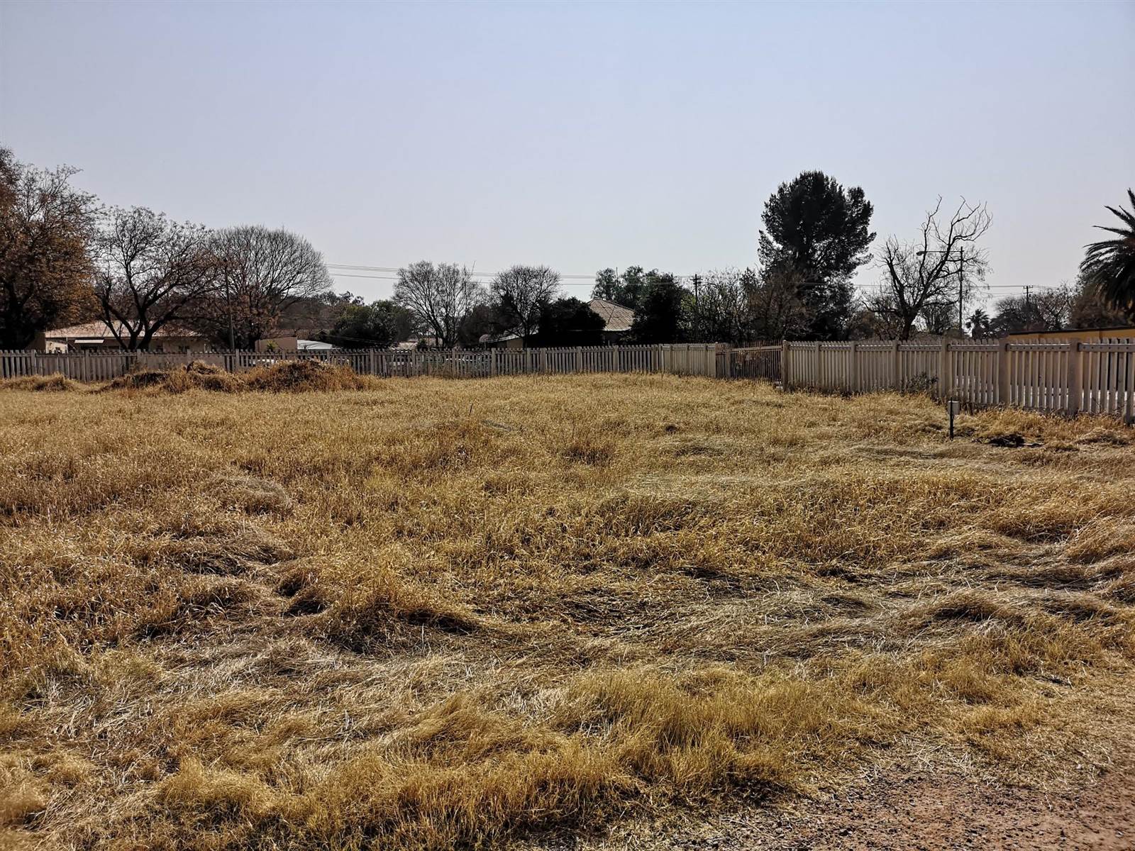 5000 m² Land available in Elandia photo number 5