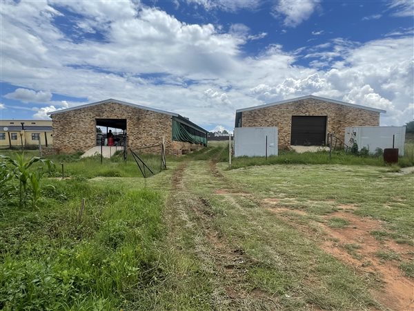 1 ha Smallholding 1 ha Smallholding
