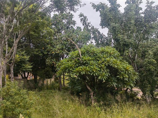541 m² Land available in Nelspruit