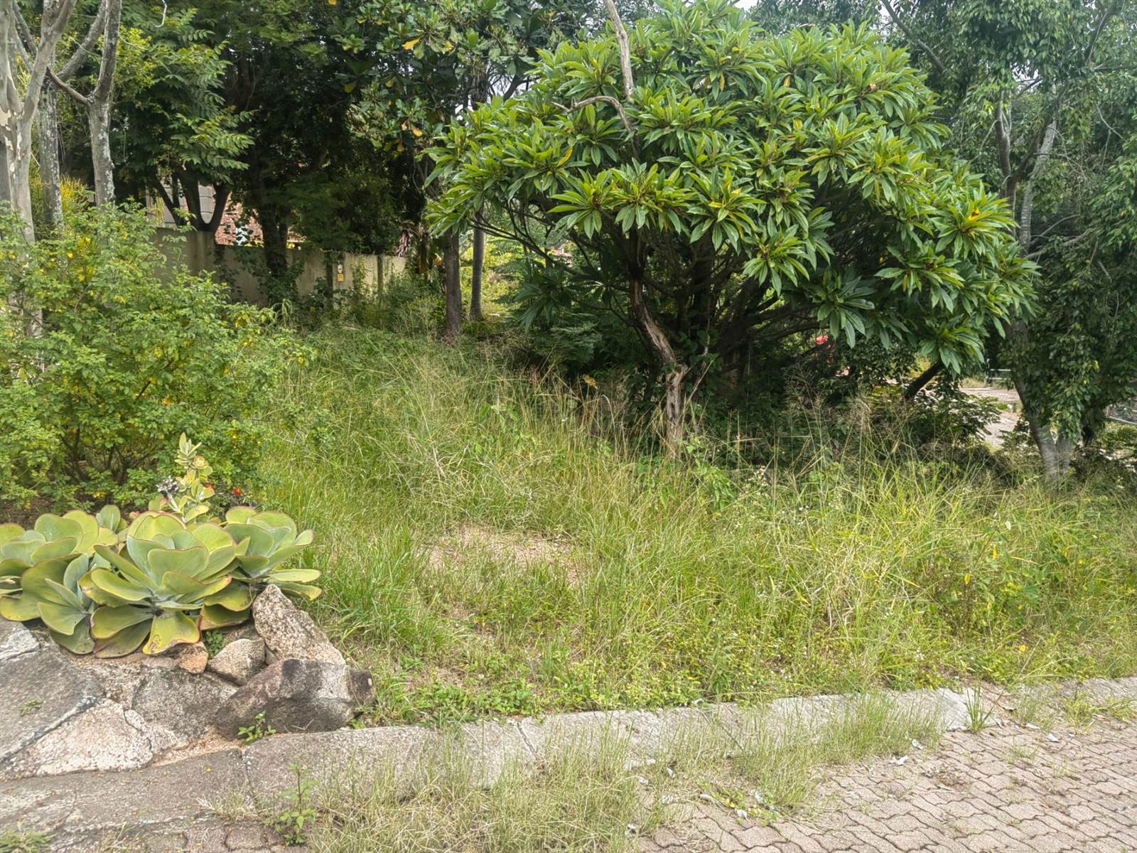 541 m² Land available in Nelspruit photo number 10