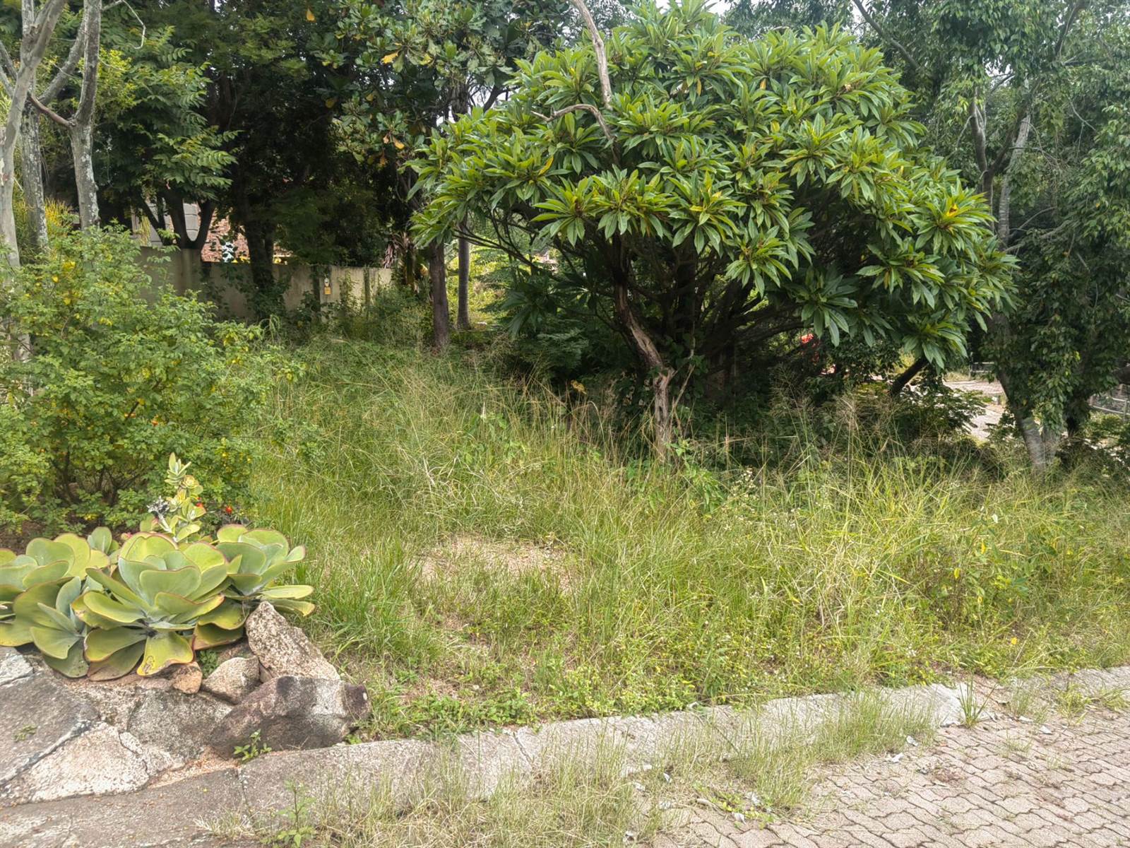 541 m² Land available in Nelspruit photo number 9