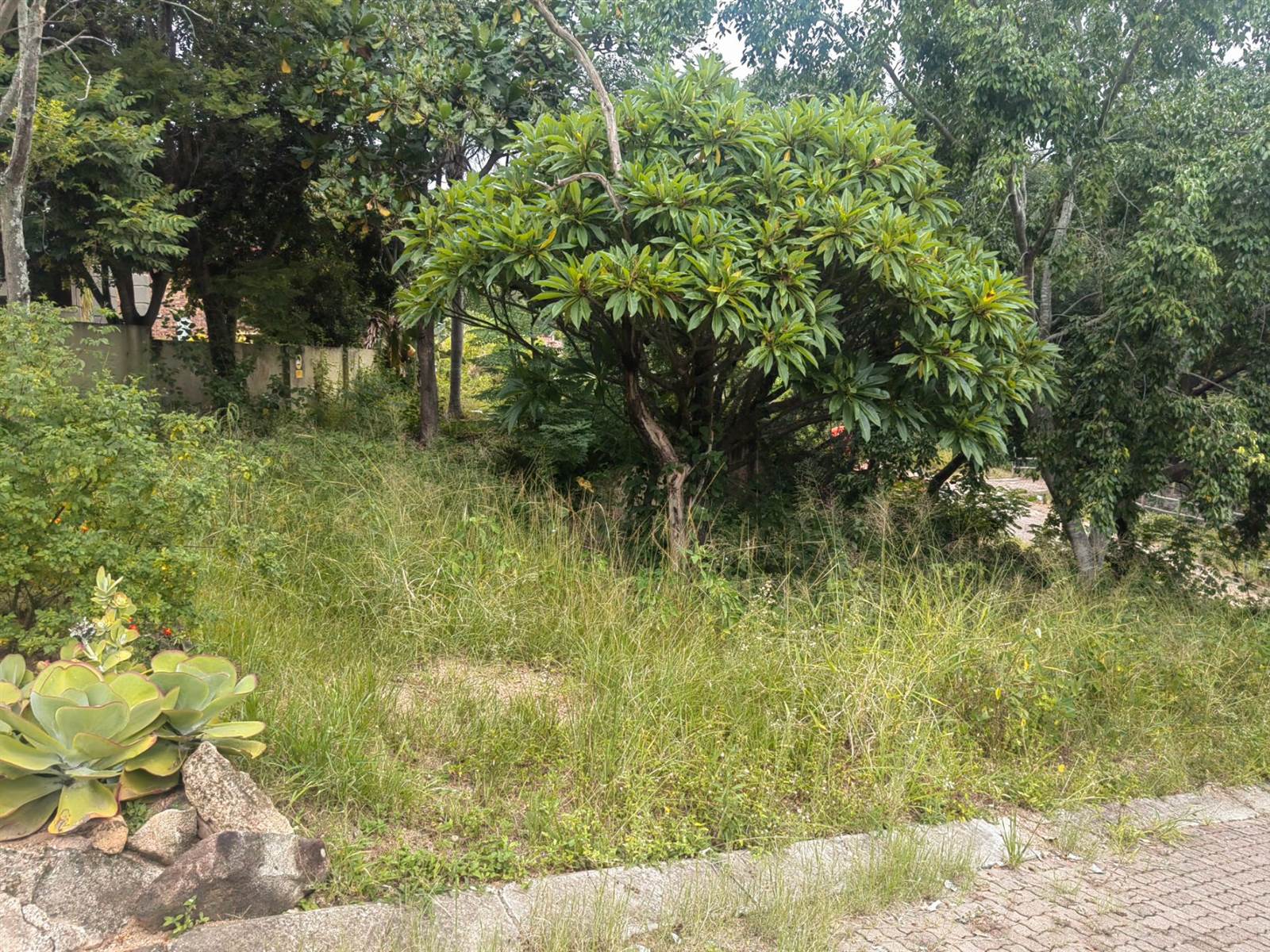 541 m² Land available in Nelspruit photo number 8
