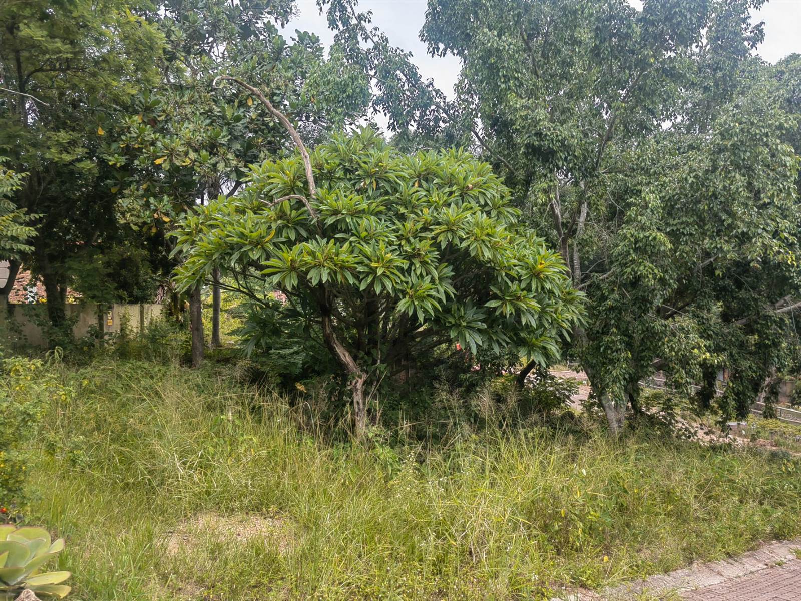 541 m² Land available in Nelspruit photo number 4