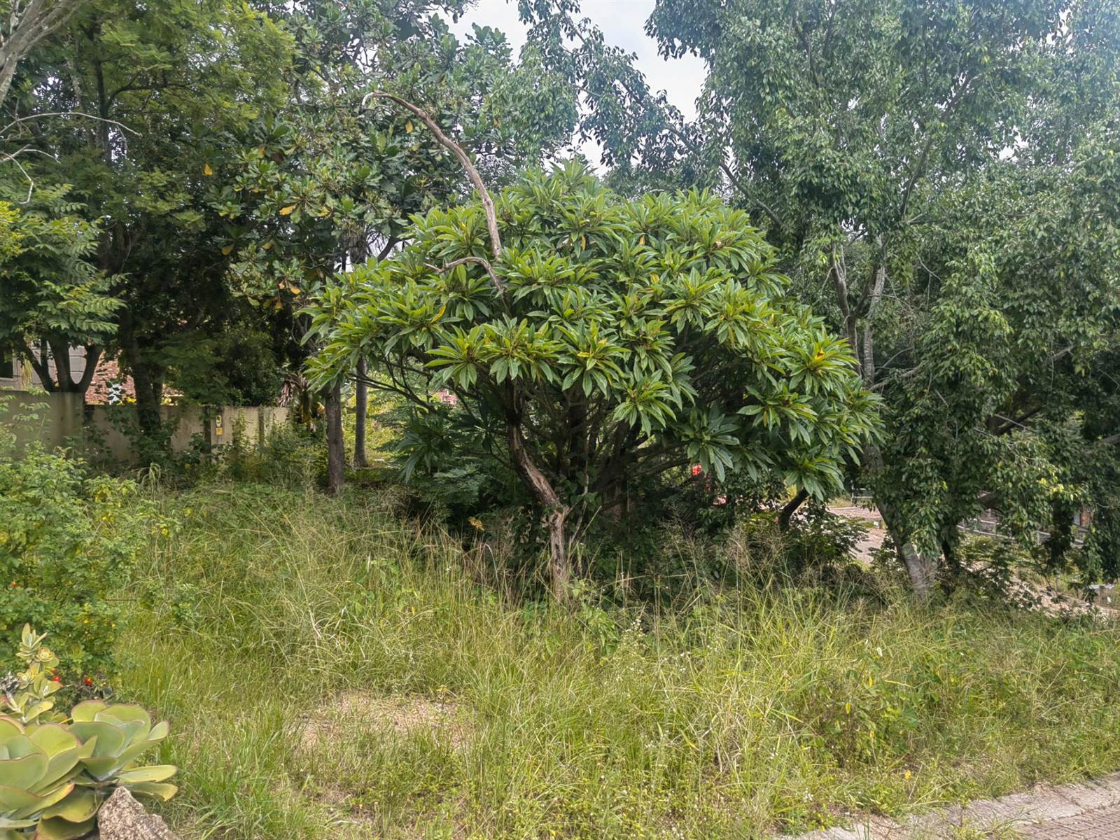 541 m² Land available in Nelspruit photo number 7