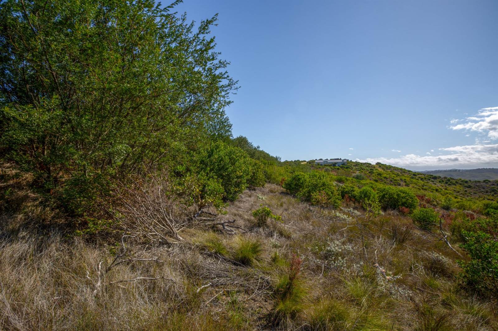 4105 m² Land available in Pezula Private Estate photo number 9