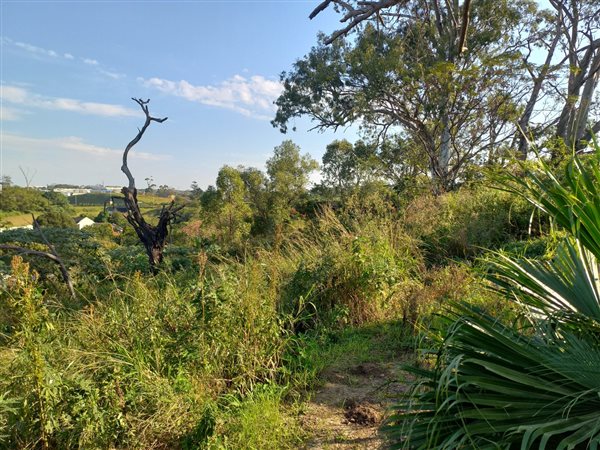 9472 m² Land available in Port Shepstone