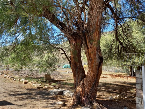 1 501 m² Land 1 501 m² Land