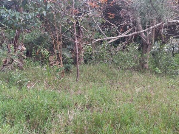2161 m² Land available in Pumula