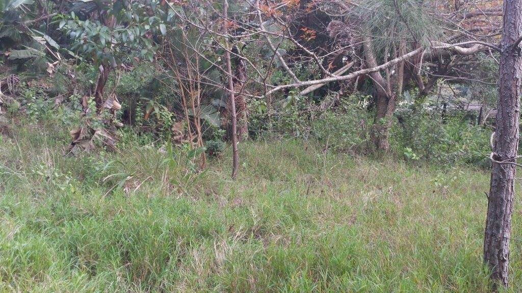 2161 m² Land available in Pumula photo number 1