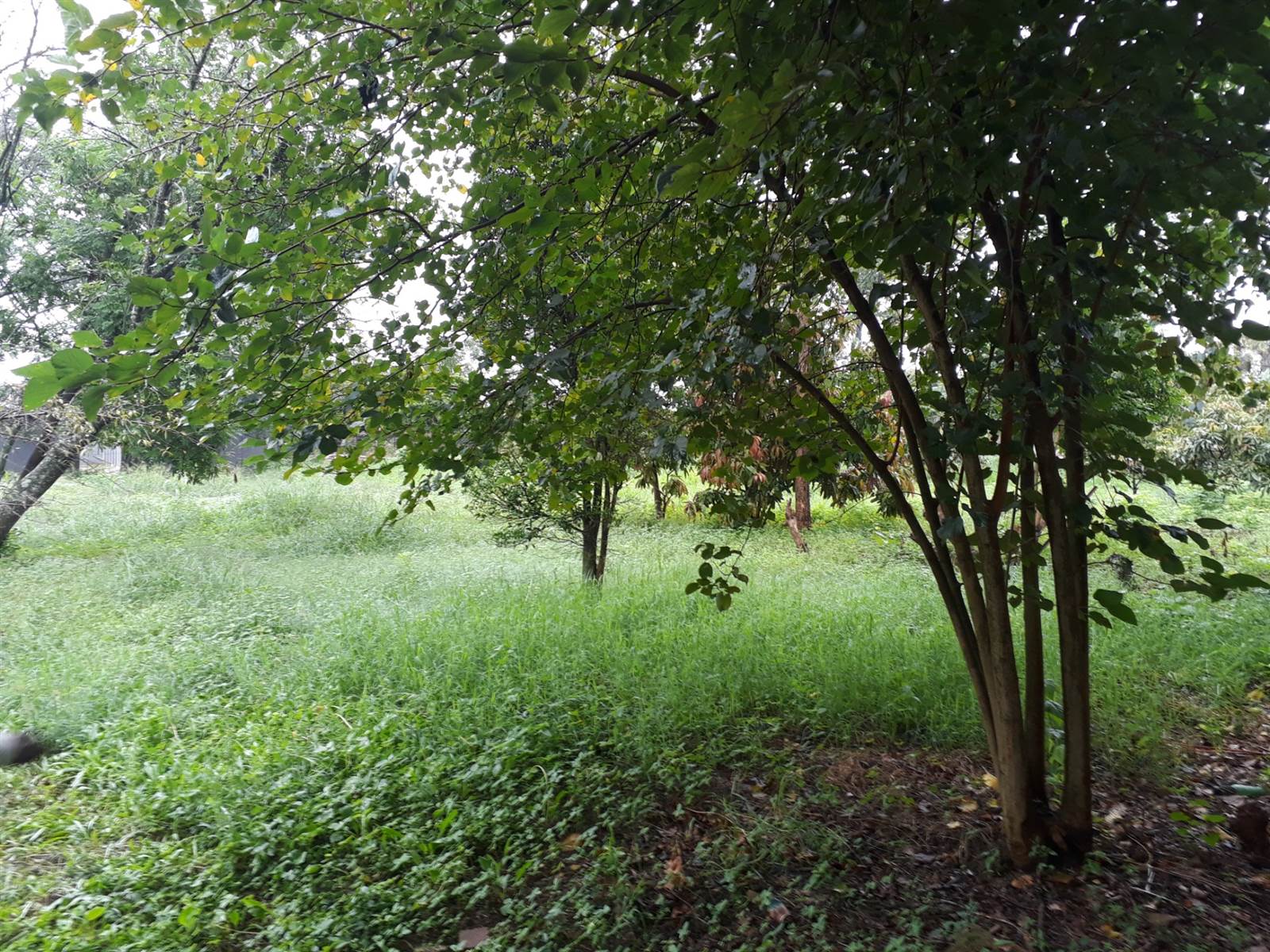 1.4 ha Land available in Louis Trichardt photo number 2