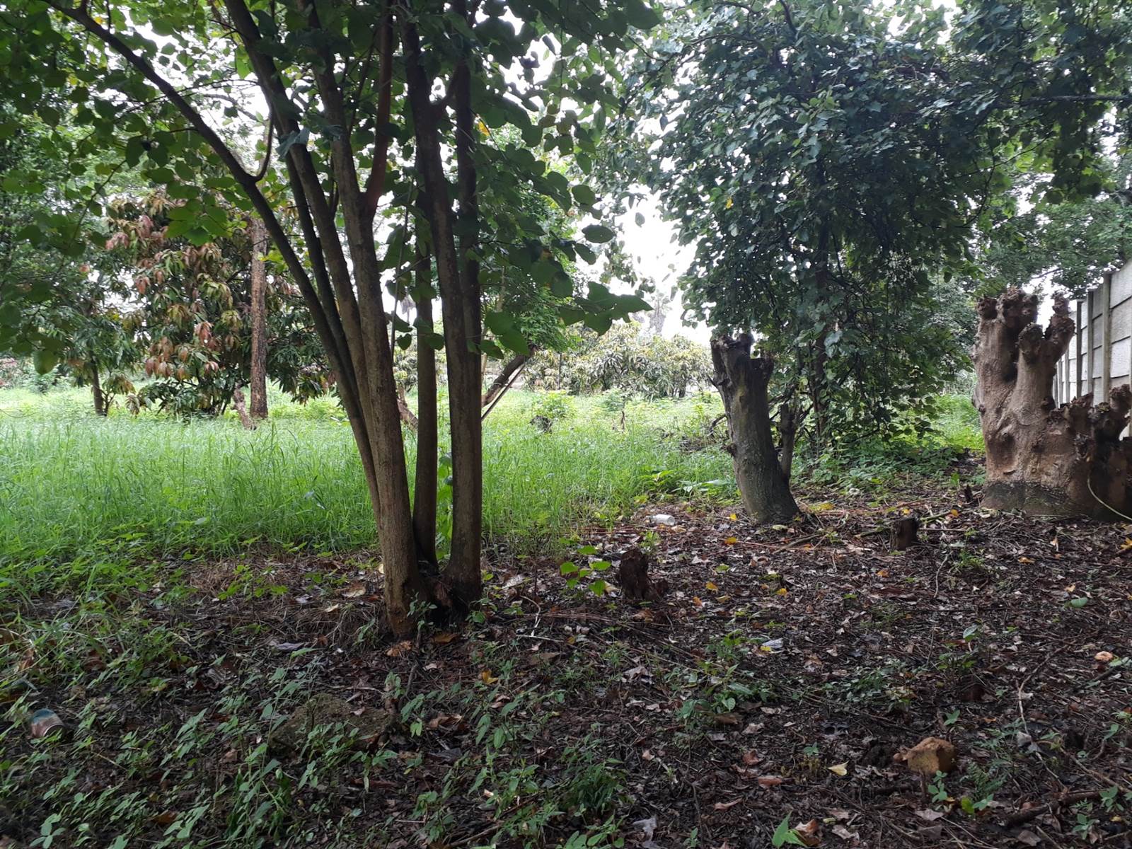 1.4 ha Land available in Louis Trichardt photo number 4