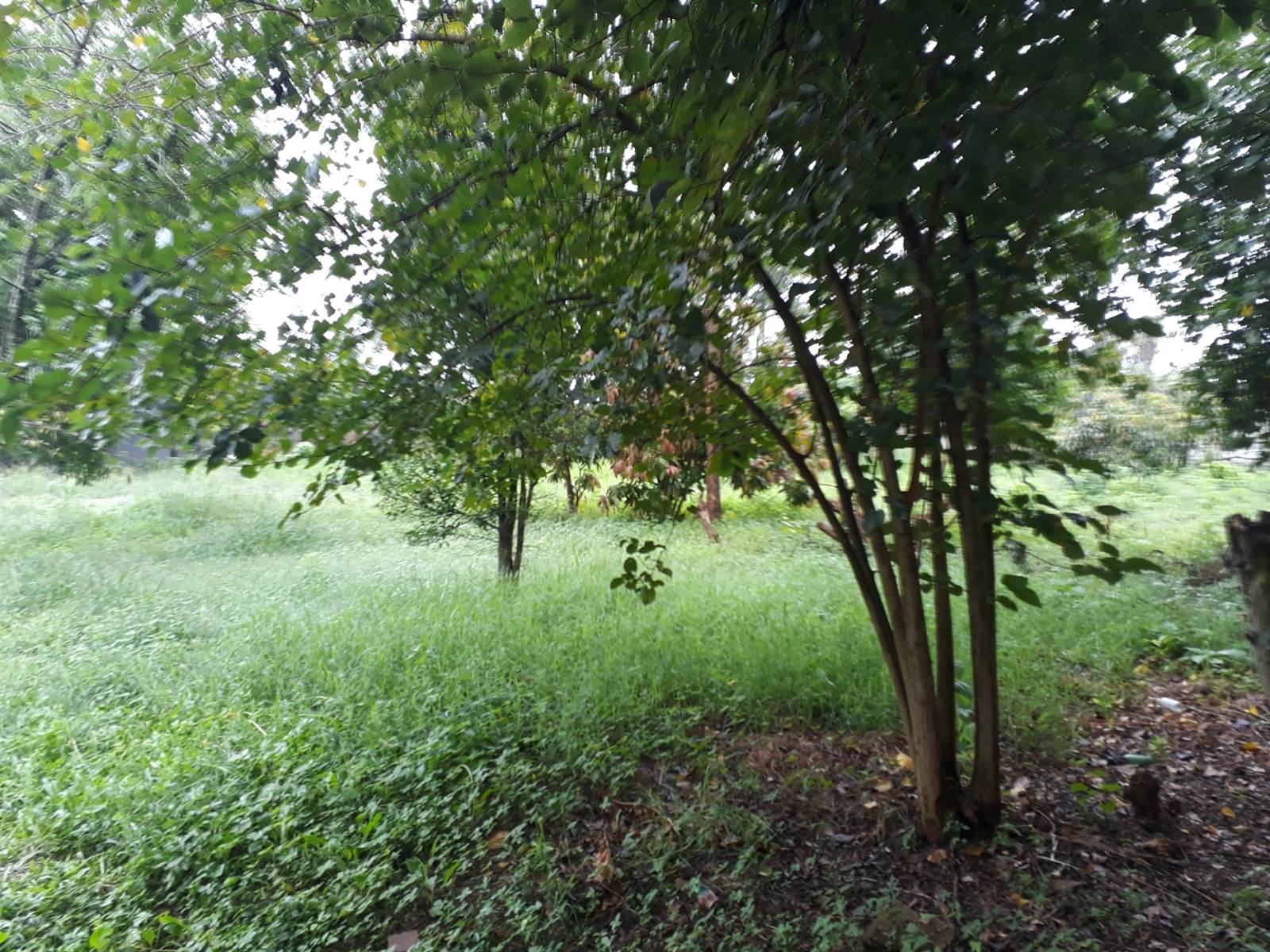 1.4 ha Land available in Louis Trichardt photo number 1