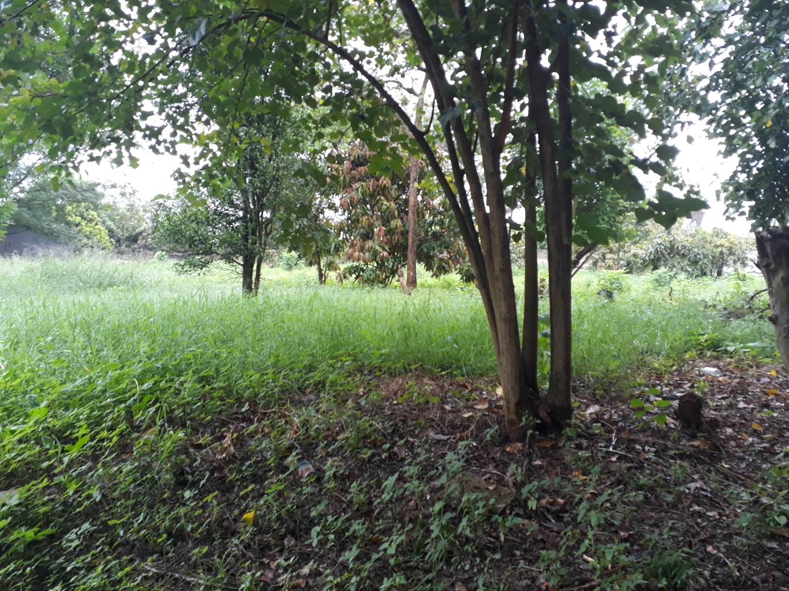 1.4 ha Land available in Louis Trichardt photo number 3
