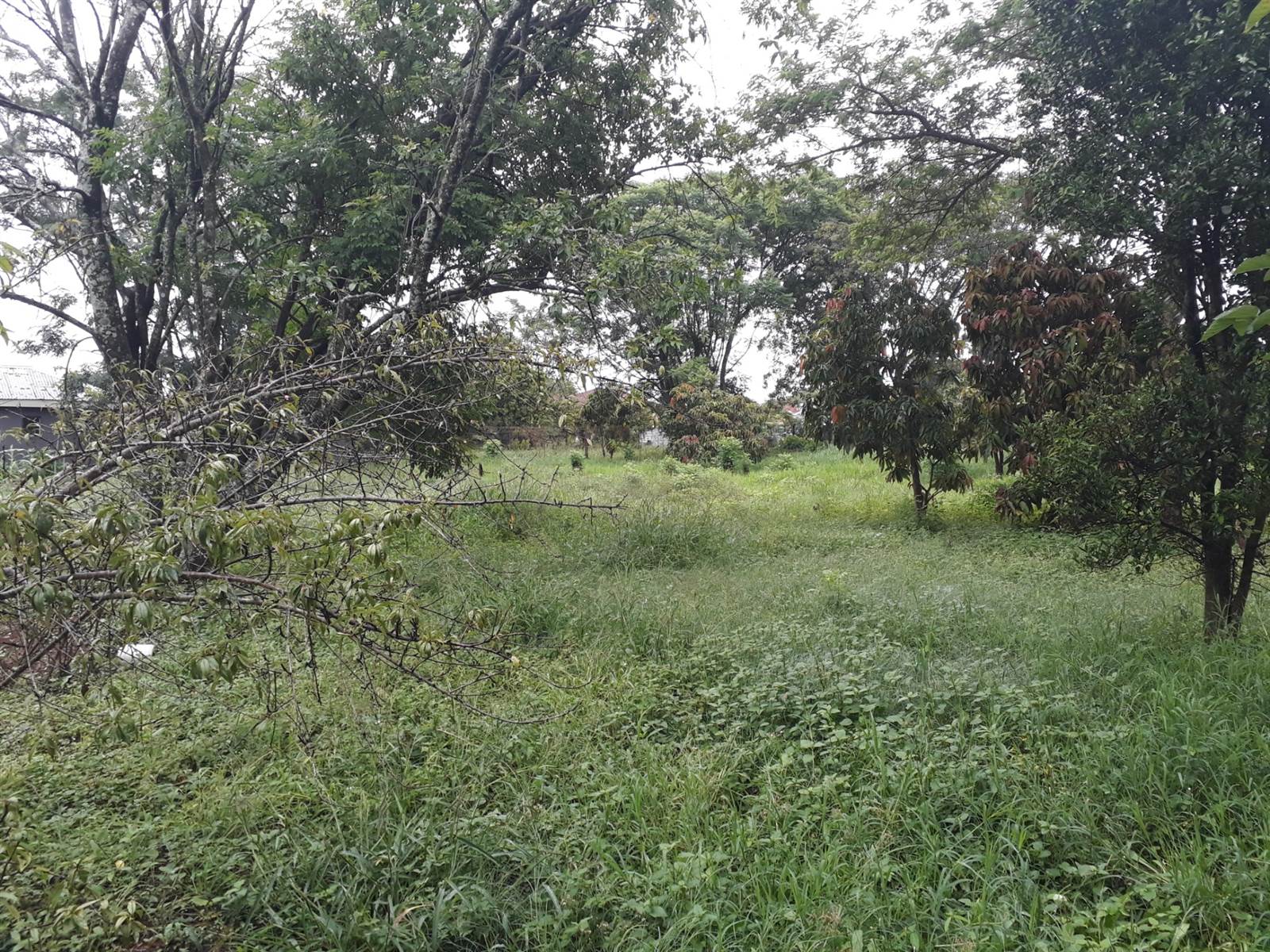 1.4 ha Land available in Louis Trichardt photo number 5