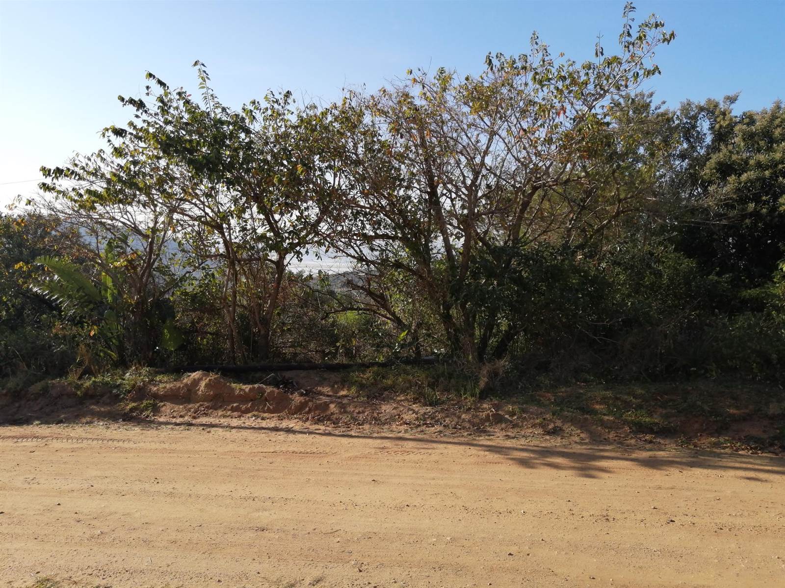 1382 m² Land available in Palm Beach photo number 4