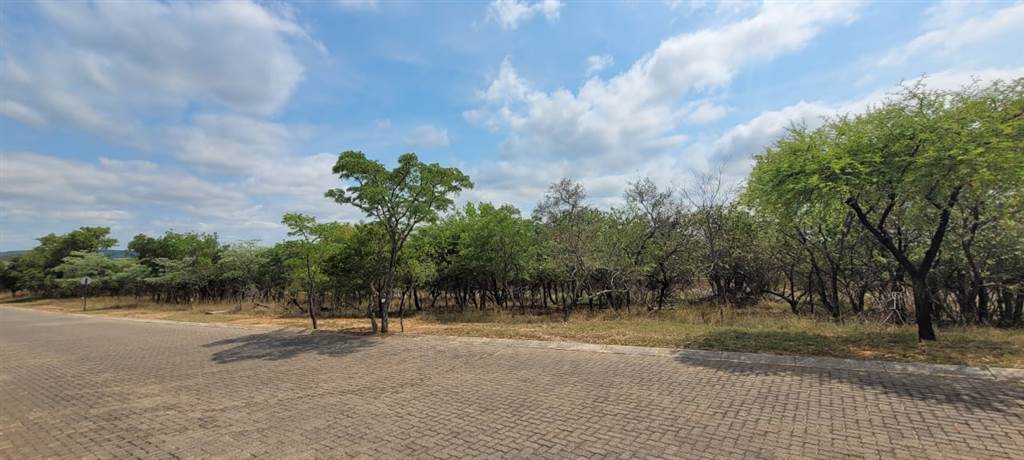 1239 m² Land available in Koro Creek Golf Estate photo number 1