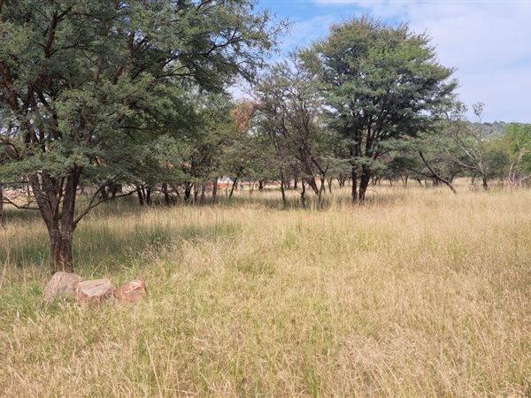 960 m² Land available in Buffelspoort
