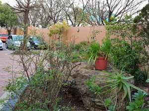 3 Bed Apartment in Buurendal