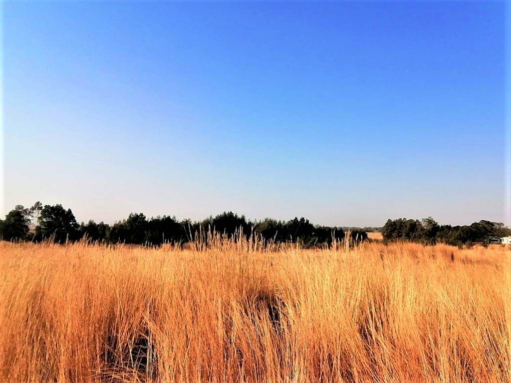 3.5 ha Land available in Blue Saddle Ranches photo number 4