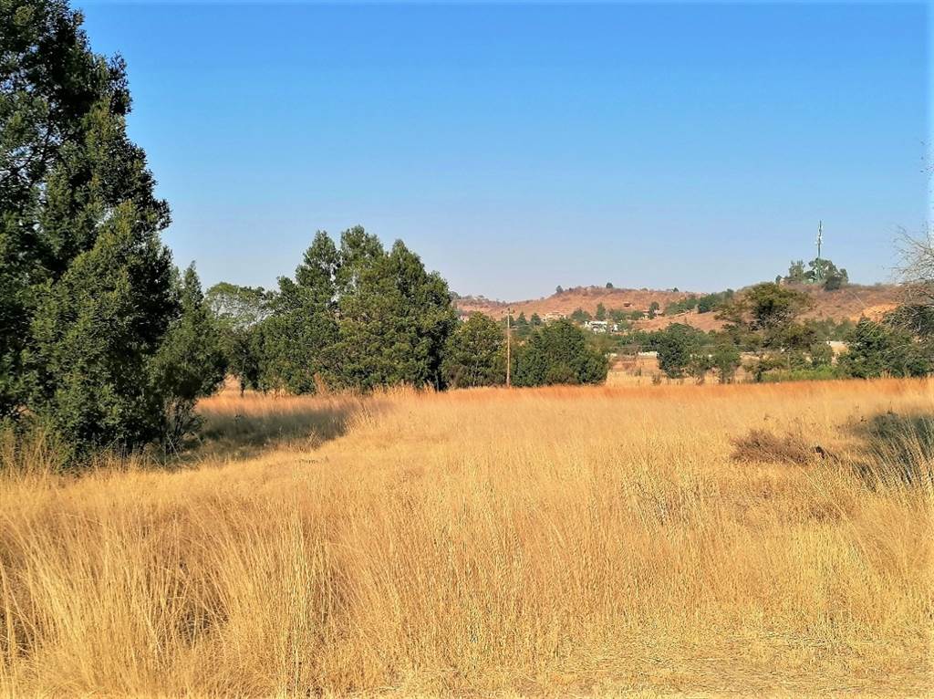 3.5 ha Land available in Blue Saddle Ranches photo number 3