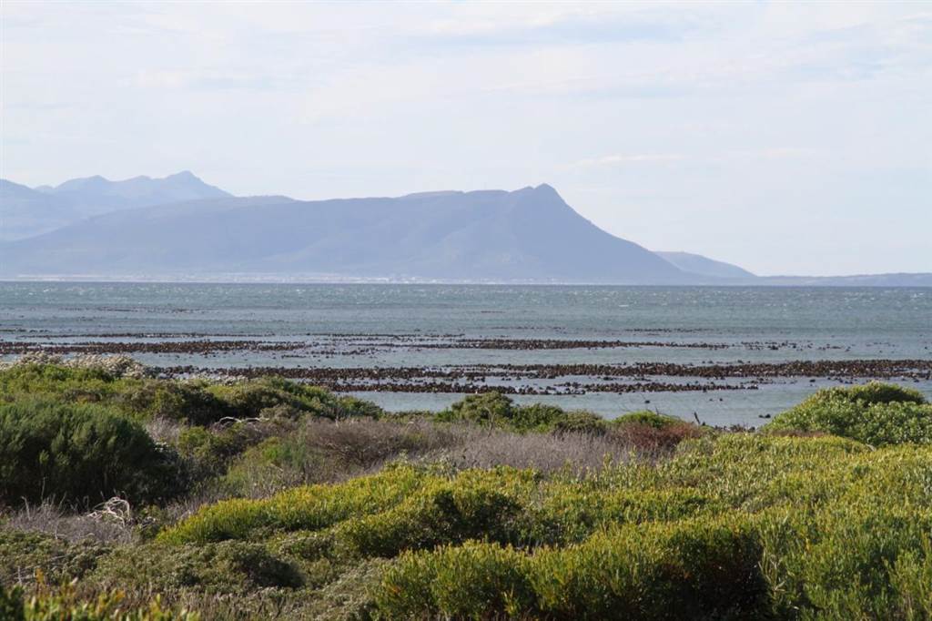 885 m² Land available in Bettys Bay photo number 15