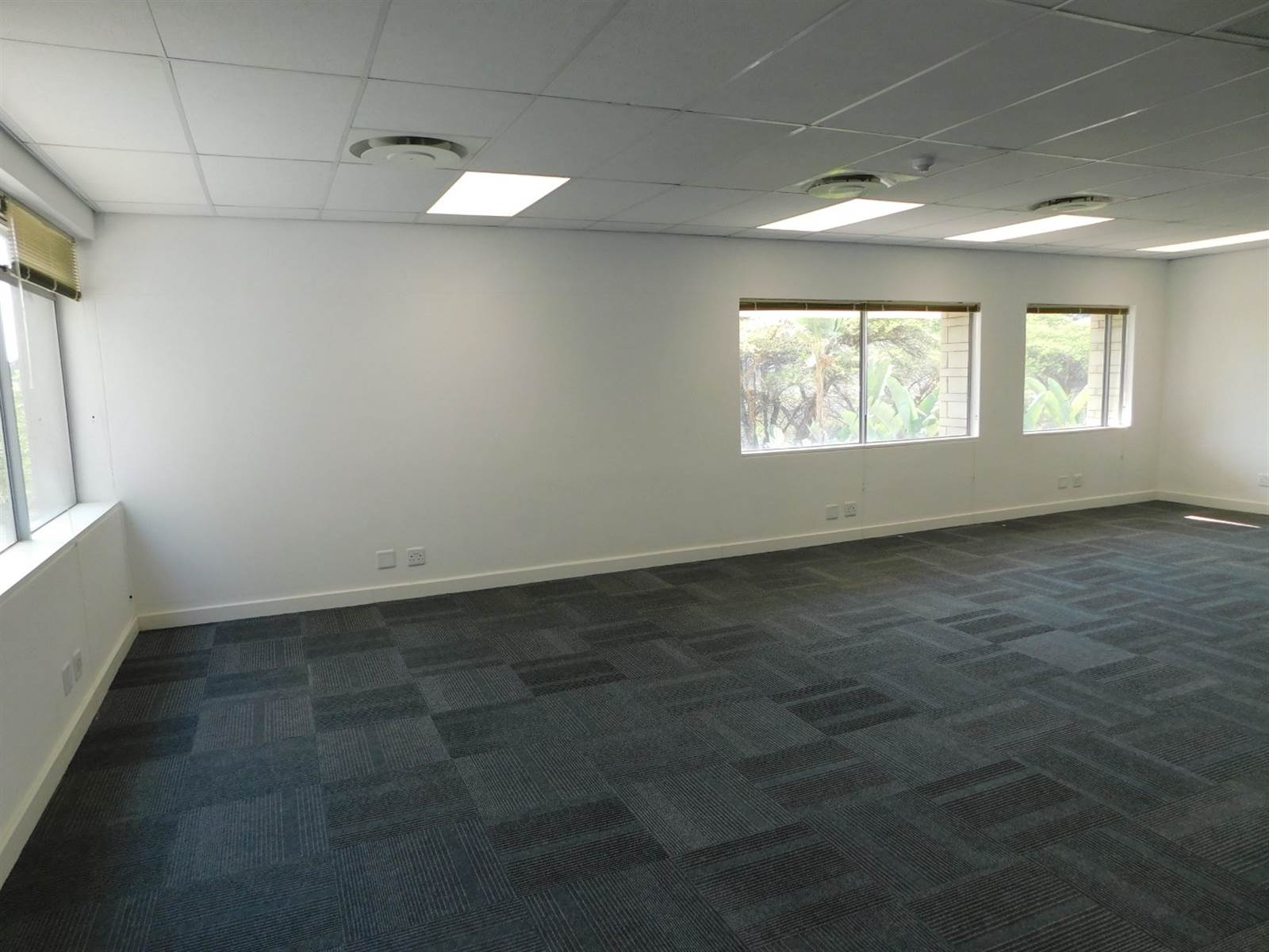 314  m² Commercial space in Illovo photo number 14