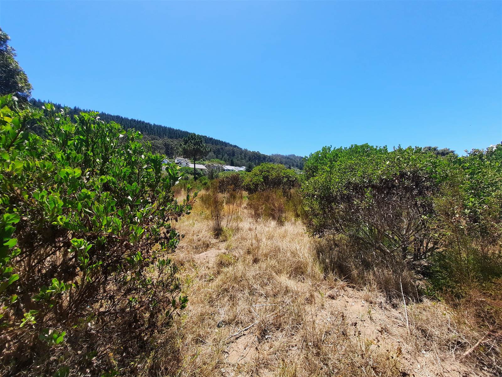 5830 m² Land available in Meedingsride photo number 5