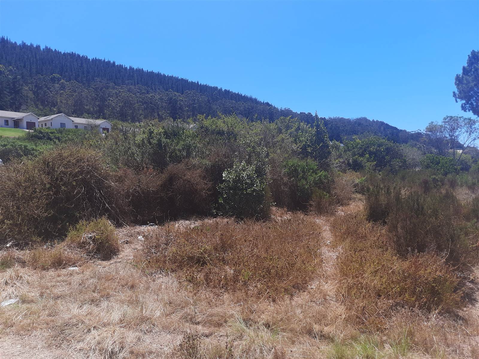 5830 m² Land available in Meedingsride photo number 9