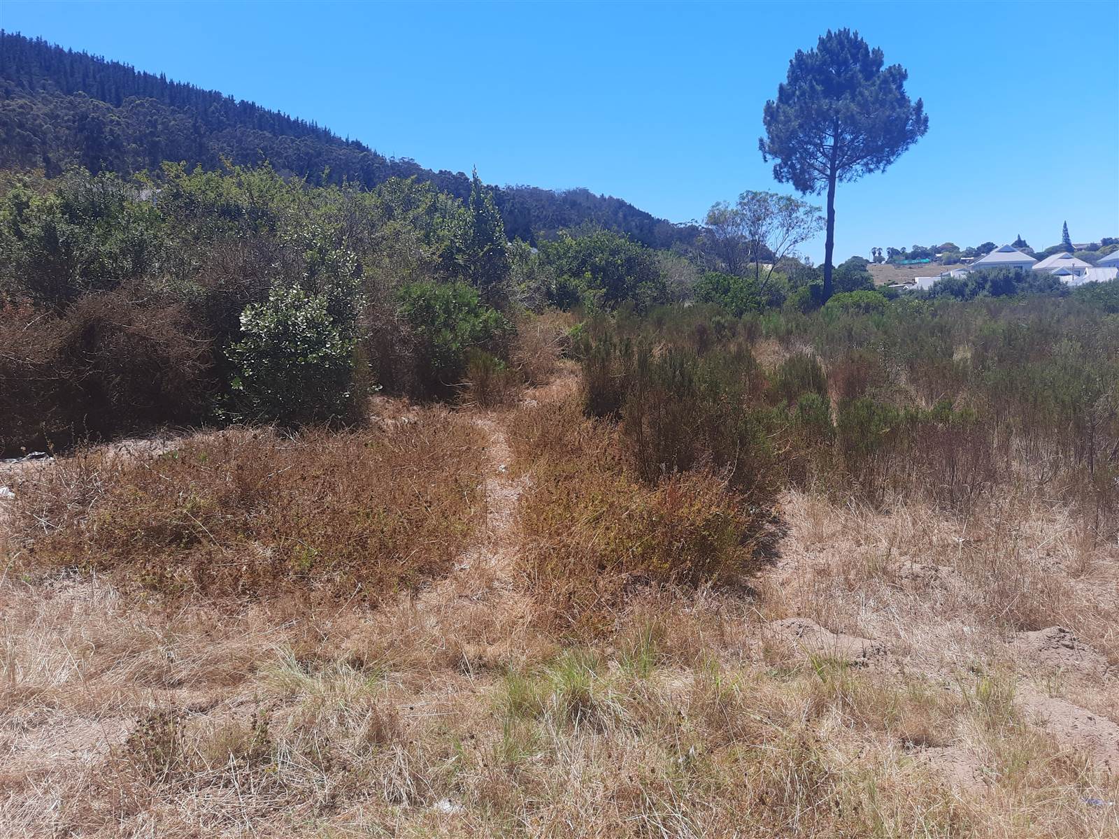 5830 m² Land available in Meedingsride photo number 10