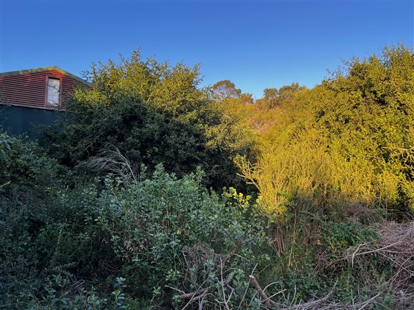 355 m² Land 355 m² Land