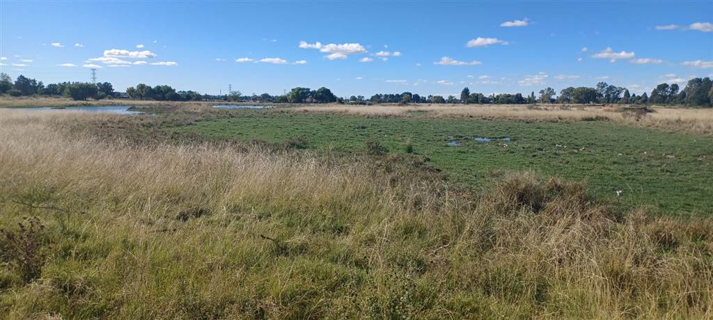 5 m² Land available in Bloemfontein photo number 6