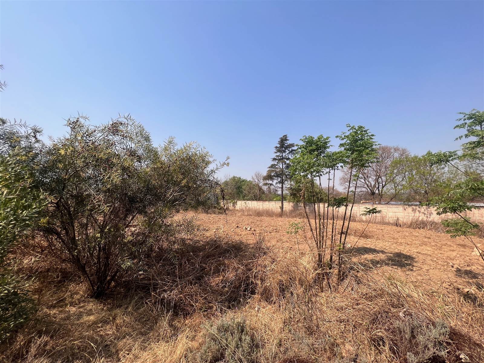 2 ha Land available in President Park photo number 8
