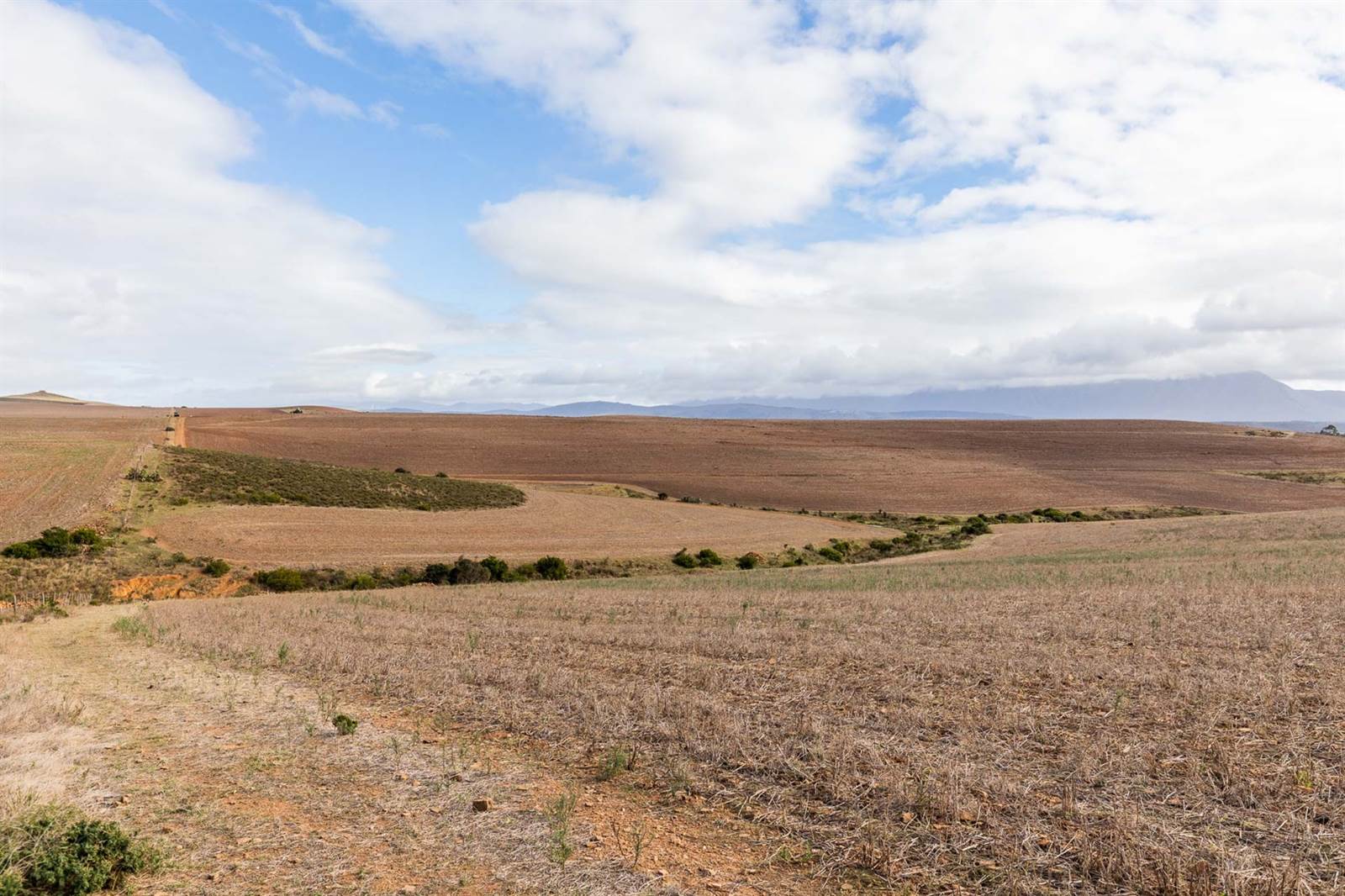 90 ha Farm in Riversdale photo number 25