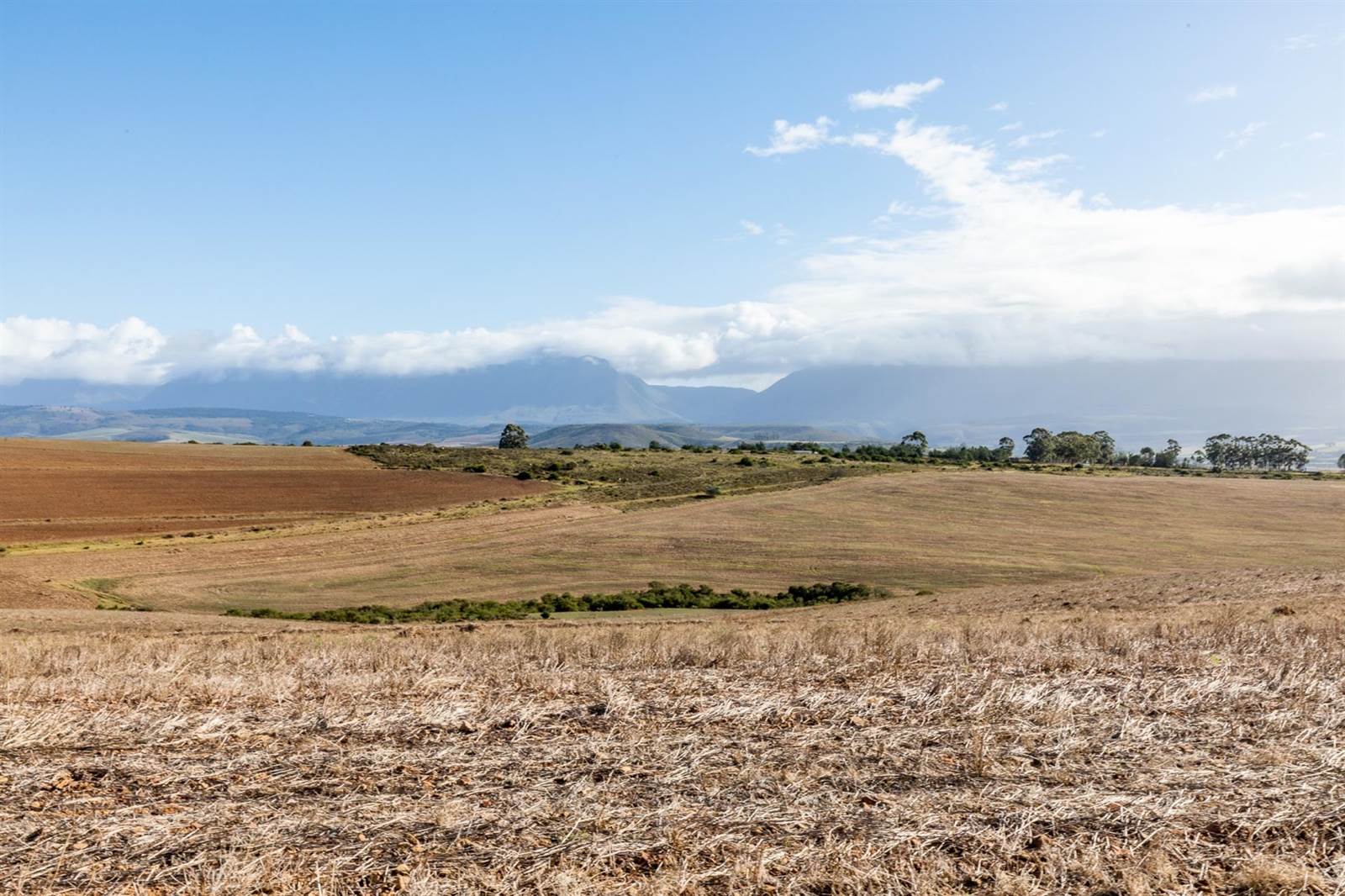 90 ha Farm in Riversdale photo number 10