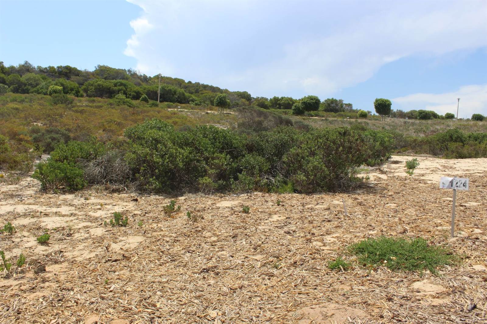 789 m² Land available in Stilbaai photo number 6