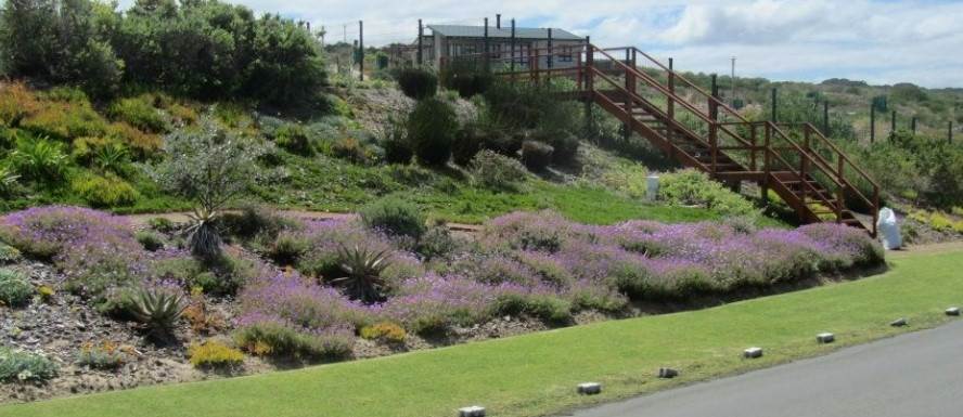 789 m² Land available in Stilbaai photo number 7