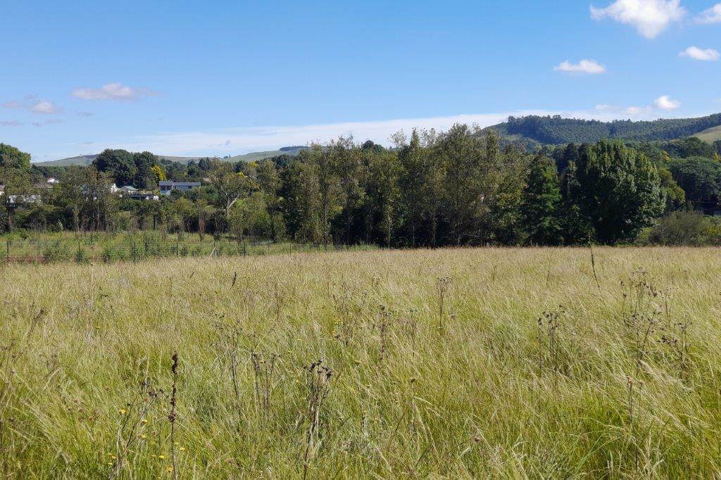 3496 m² Land available in Howick photo number 6