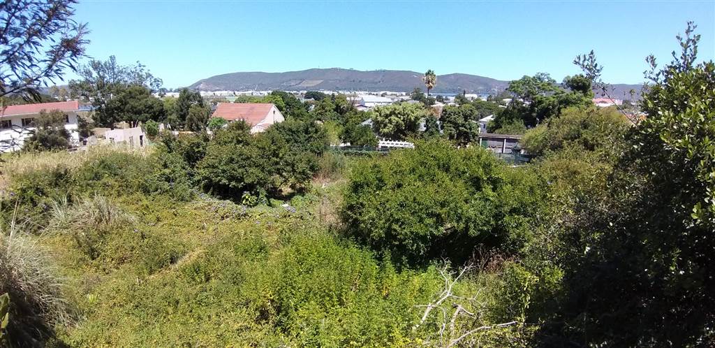 Commercial space in Knysna Central photo number 4
