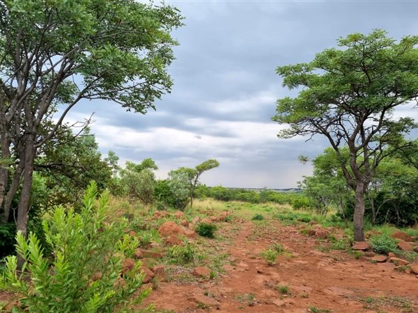 40 ha Farmland